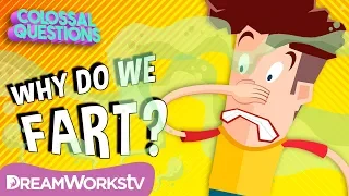 Why Do We Fart? | COLOSSAL QUESTIONS