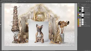 LSP Golden Glass Digital Background Dog Video Tutorial