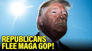 Republicans make MASS EXODUS From RADICAL MAGA Party and share why WITH US Part II