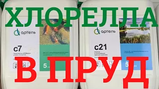 ХЛОРЕЛЛА и АРТЕЛЬ С7 В СВОЙ ПРУД!!! ВСЕ О ХЛОРЕЛЛЕ В ПРУДУ!!! ЦЕНА и полная инструкция о применении.