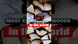 Top 5 most expensive woods in the world🌏. #youtubeshorts #youtube #ytshorts.