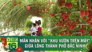 Mãn nhãn với "khu vườn trên mây" giữa lòng thành phố Bắc Ninh | VTC16