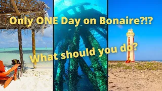 What to do with only ONE day on Bonaire!