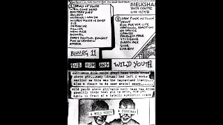 Subhumans ... Melksham Youth Centre 15th July 1981 (Punk Anarcho Bluurg 11)
