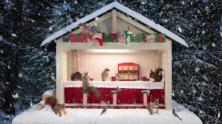 Christmas in the Nut Bar - Birds, Squirrels, and Christmas Music