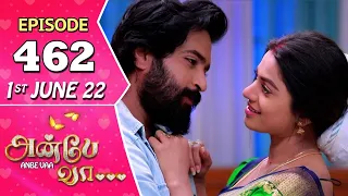 Anbe Vaa Serial | Episode 462 | 1st June 2022 | Virat | Delna Davis | Saregama TV Shows Tamil