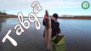 ЗАКРЫЛИ СЕЗОН НА ТАВДЕ, НАЛИМ, ЩУКА, ЯЗЬ, РЫБАЛКА В ОКТЯБРЕ! СПИННИНГ, ДОНКИ, ФИДЕР, ЛОВИМ НА УРАЛЕ!