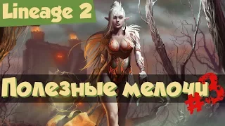 Lineage 2 - Полезные мелочи #3. Развод на ПК, зацикленные макросы и быстрый делевел (Salvation)