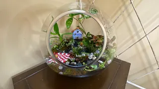 moss terrarium with a real water pond feature and tropical plants