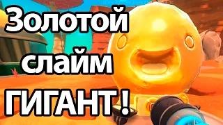 Купил гигантского золотого слайма ! Новые слизни ! ( Slime rancher )