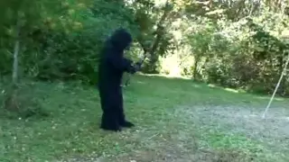 BOW HUNTER'S BIGFOOT SIGHTING CAUGHT ON TAPE