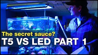 T5 vs LED: T5’s secret spectrum sauce? Do LED’s have a chance on our reef tanks?