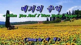 메기의 추억 💜 서목 🌴🌿🌻🍒🍓