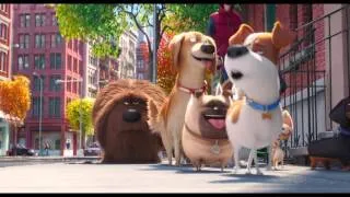 PETS - VITA DA ANIMALI - Terzo trailer italiano ufficiale