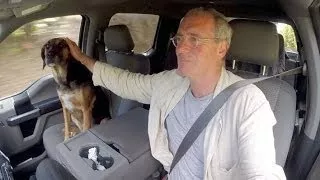 (Doku) Ein Mann, ein Hund, ein Pickup (2/5) Washington, DC (HD)