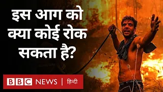 Wildfires: जंगल की आग को हम कैसे रोक सकते हैं? (BBC Hindi)