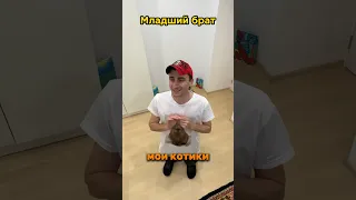 Старший и младший брат / котики #юмор #рекомендации #прикол