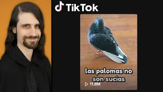 Alva Majo se pasa TikTok con un video de palomas