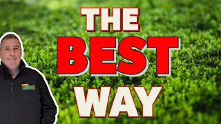 How to kill moss in a lawn | FAST and EASY