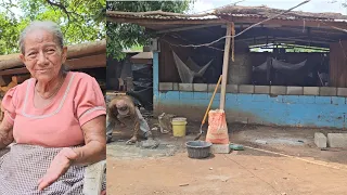 Se Inició  botar la Madera Vieja de la Casa de mi Abuelita