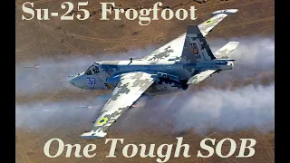 Sukhoi Su-25 Frogfoot - One Tough SOB