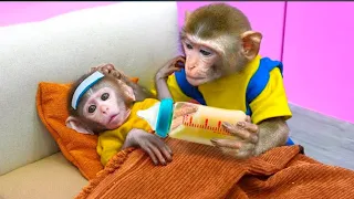 Kiki Monkey take care  If The Cute  Baby Is A  Nanny | Kudo Animal  Kiki#kiki #babymonkey