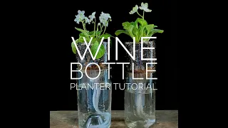 Upcycled DIY Self-watering Wine Bottle Planter Tutorial