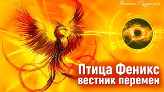 Птица Феникс инструмент от создателей мироздания