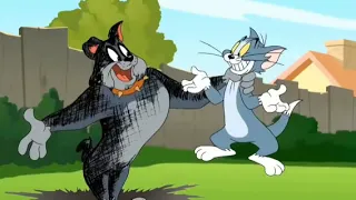 Tom And Jerry Cartoon 2022  || Tom and Jerry new episode 3