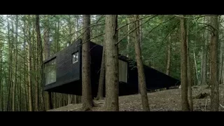 Half-Tree House / Jacobschang Architecture (4k)