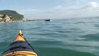 Luca in kayak tra i delfini a Numana 🐬 5.9.2011 (remake) Full HD