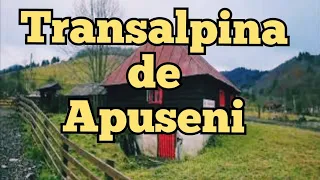 Gospodării de vânzare și părăsite, cătune izolate, pe Transalpina de Apuseni