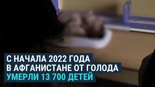 Война в Украине влияет на кризис в Афганистане