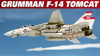 Grumman F-14 Tomcat |  A Brief History Of The Iconic Aircraft | Upscaled