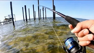 Exploring Apollo Beach powerplant from front to back! Flats, docks and channels