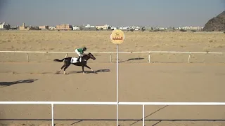 الشوط 1 بالحفل الرابع  يوم الاثنين 10-4-1443 على دعم نادي سباقات الخيل