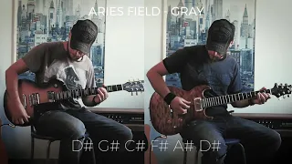 Aries Field - Gray [Guitar Playthrough]