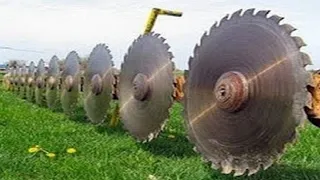 Dangerous Fastest Big Chainsaw Cutting Tree Felling Machines, Heavy Equipment Tree Felling Machines