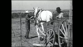 "My Model Farm" International Harvester 1911