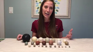 Bird eggs lesson