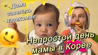 Непростой день мамы в Корее/дома завелись насекомые/встречаем гостей/Korea Vlog