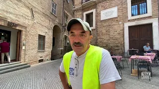 Potatura e manutenzione per il Platano monumentale di via Valerio a Urbino