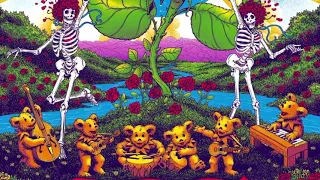 Dead & Company - Wharf Rat