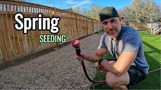 Lawncare | Spring Seeding Your Lawn