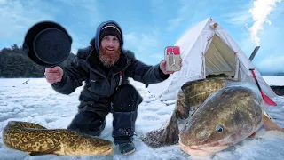 Surviving for 24 hrs Eating This BIZARRE Fish (Ice Fishing Survival Challenge!)