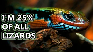 Skink facts: Diverse Lizards | Animal Fact Files