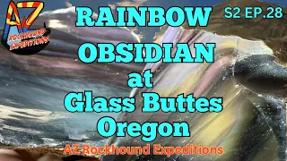 Rainbow Obsidian At Glass Butte in Oregon with The Rogue Rockhound S2 EP. 28