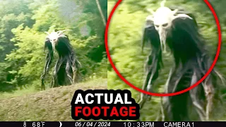 SHOCKING Moment Caught On Trail Cam You Won't Believe