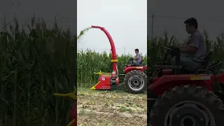 Small agricultural machine silage harvester farm equipment
