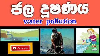 වකුගඩු රෝග වලට හේතුව මෙන්න | Water pollution | science | #environment  #waterpollution